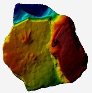 CHINA-BEIJING-FOSILES