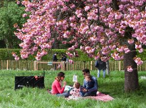 FRANCIA-SCEAUX-VIDA COTIDIANA