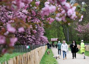 FRANCIA-SCEAUX-VIDA COTIDIANA