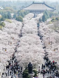 CHINA-FESTIVAL QINGMING-TURISMO-ECONOMIA