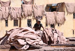 MARRUECOS-FES-CURTIDURIA DE CUERO