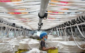CHINA-JIANGXI-YUDU-INDUSTRIA TEXTIL Y DE LA CONFECCION-DESARROLLO