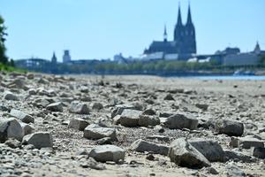 ALEMANIA-COLONIA-RIN-NIVEL DEL AGUA