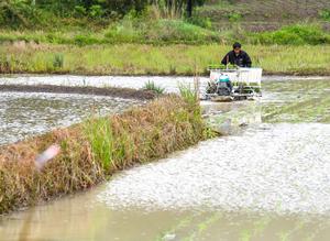 CHINA-CHONGQING-AGRICULTURA