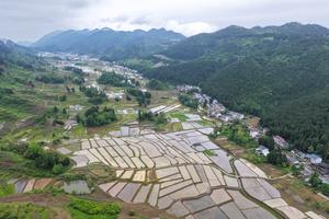 CHINA-CHONGQING-AGRICULTURA