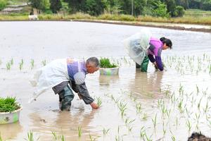 CHINA-CHONGQING-AGRICULTURA