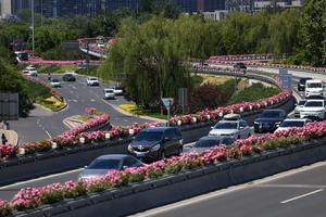 CHINA-BEIJING-ROSA CHINA-CALLE-DECORACION