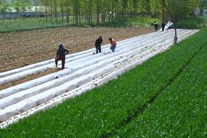 CHINA-PRIMAVERA-AGRICULTURA