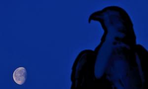 CHINA-HEILONGJIANG-VISTA DEL CIELO