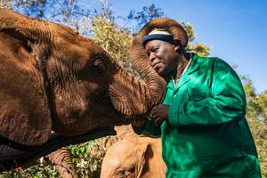 KENIA-PARQUES NACIONALES-DIA MUNDIAL DEL ELEFANTE