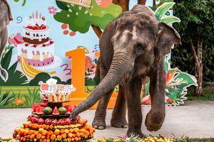 CHINA-YUNNAN-XISHUANGBANNA-DIA MUNDIAL DEL ELEFANTE-CELEBRACION