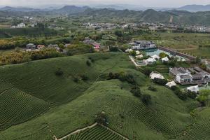 CHINA-ZHEJIANG-ANJI-TE BLANCO