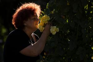 ESLOVENIA-KAMNIK-ROSAS