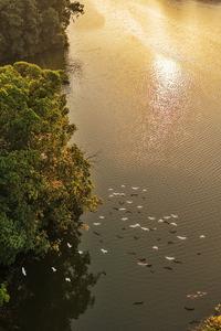 CHINA-CHONGQING-LAGO LONGSHUI-ECOLOGIA