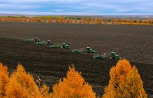 CHINA-HEILONGJIANG-OTOÑO-COSECHA