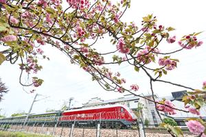 CHINA-PRIMAVERA-PAISAJE