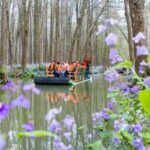 CHINA-PRIMAVERA-PAISAJE