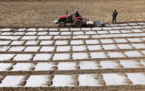 CHINA-GANSU-TIANSHUI-AGRICULTURA DE PRIMAVERA