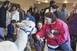 NUEVA ZELANDA-CHRISTCHURCH-EXPOSICION DE MASCOTAS