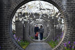 CHINA-ANHUI-DANGSHAN-PRIMAVERA-FLORES DE PERAL