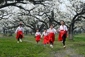 CHINA-ANHUI-DANGSHAN-PRIMAVERA-FLORES DE PERAL