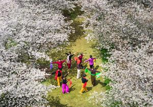 CHINA-PRIMAVERA-FLORES