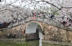 CHINA-PRIMAVERA-FLORES