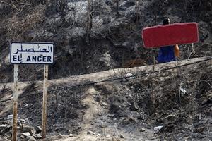 ARGELIA-JIJEL-INCENDIOS FORESTALES-SUMINISTROS DE AYUDA