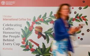 ITALIA-ROMA-FAO-DIA INTERNACIONAL DEL CAFE