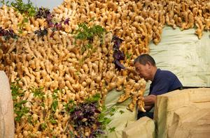 CHINA-SHANDONG-SHOUGUANG-EXPOSICION DE HORTALIZAS-PREPARATIVOS