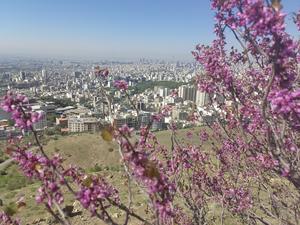 IRAN-TEHERAN-VISTA DE LA CIUDAD