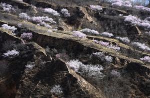 CHINA-SHAANXI-YAN'AN-VISTAS DE PRIMAVERA