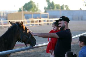 IRAK-BAGDAD-DIA MUNDIAL DEL CABALLO