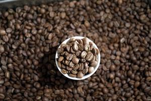 IRAK-BAGDAD-DIA INTERNACIONAL DEL CAFE