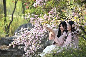 CHINA-PRIMAVERA-PAISAJE