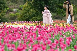 CHINA-PRIMAVERA-PAISAJE