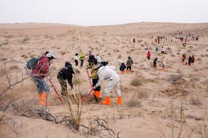 CHINA-MINQIN-VOLUNTARIOS-CONTROL DE LA DESERTIFICACION