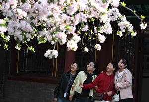 CHINA-PRIMAVERA-PAISAJE