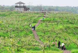 CHINA-PRIMAVERA-PAISAJE