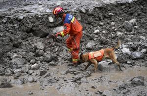 CHINA-XIZANG-GYIRONG-AVALANCHA DE LODO-RESCATE