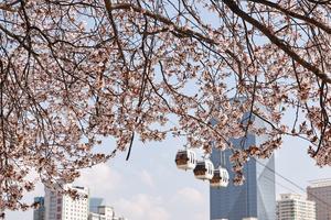 CHINA-PRIMAVERA-PAISAJE