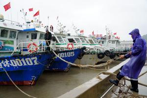 CHINA-ZHEJIANG-TIFON DOLPHIN-RESPUESTA DE EMERGENCIA