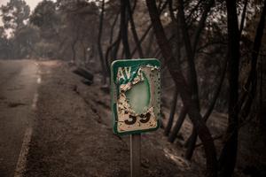 ESPAÑA-AVILA-INCENDIO FORESTAL