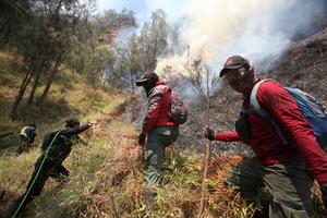 INDONESIA-JAVA ORIENTAL-PROBOLINGGO-INCENDIO FORESTAL