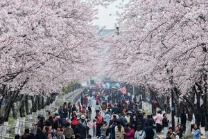 CHINA-PRIMAVERA-PAISAJE