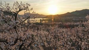 CHINA-PRIMAVERA-PAISAJE