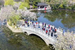 CHINA-PRIMAVERA-PAISAJE
