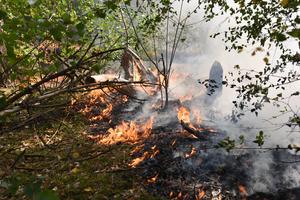 PAISES BAJOS-VENRAY-INCENDIO FORESTAL