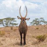 ¡Seguimos celebrando el Día Mundial de la Vida Silvestre!