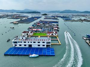 CHINA-FUJIAN-MARICULTURA